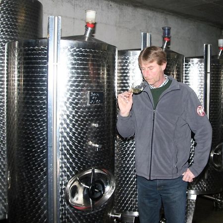 Ferienweingut Hensler Hotel บรีเดล ภายนอก รูปภาพ