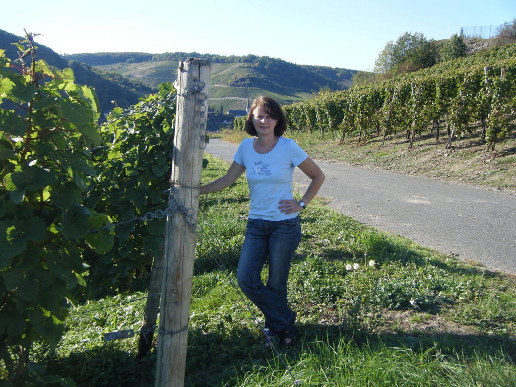 Ferienweingut Hensler Hotel บรีเดล ห้อง รูปภาพ